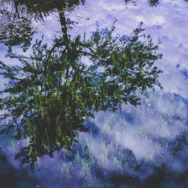 Aurea Nano 18 — Aurea