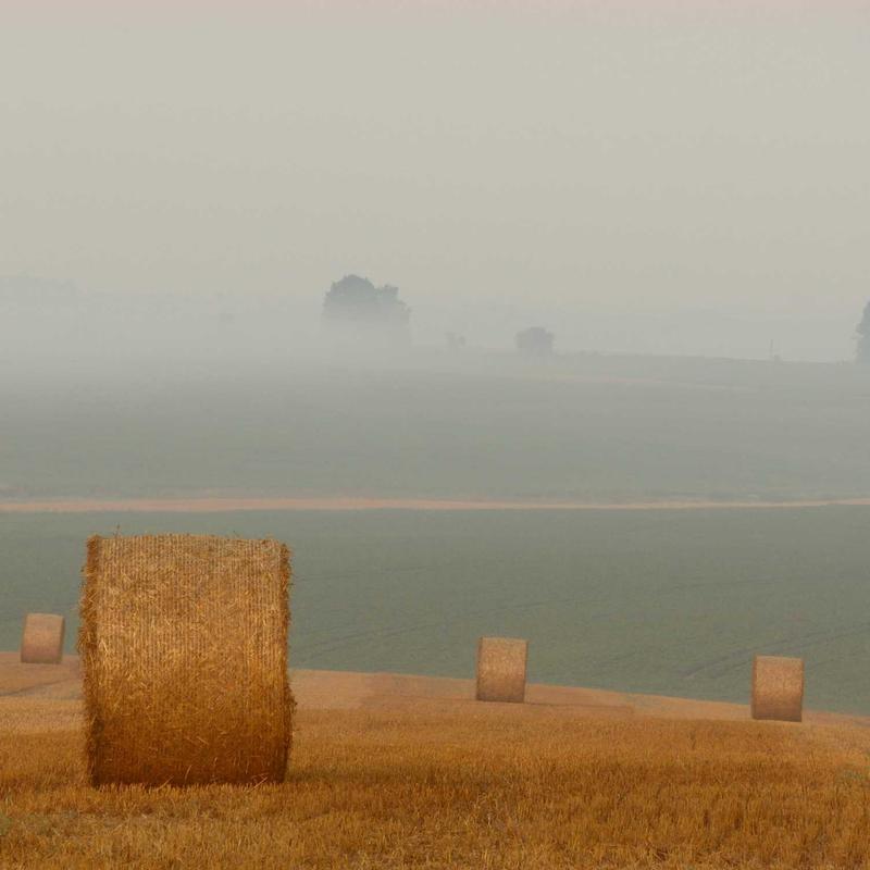 Espejo rectangular de roble macizo Urbión — Ribera Norte