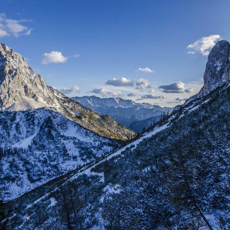 Cabecero capitoné de nogal Cazorla — Nogalt